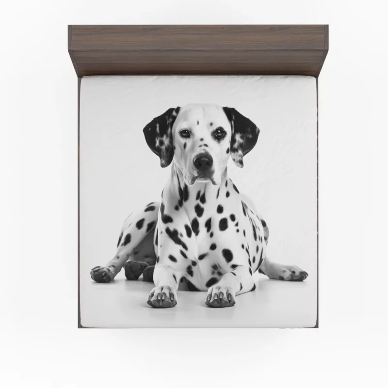 Dalmatian Dog Portrait Fitted Sheet