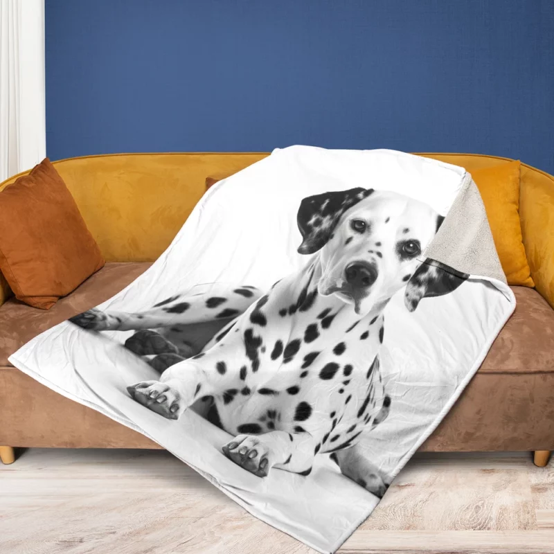 Dalmatian Dog Portrait Fleece Blanket 1