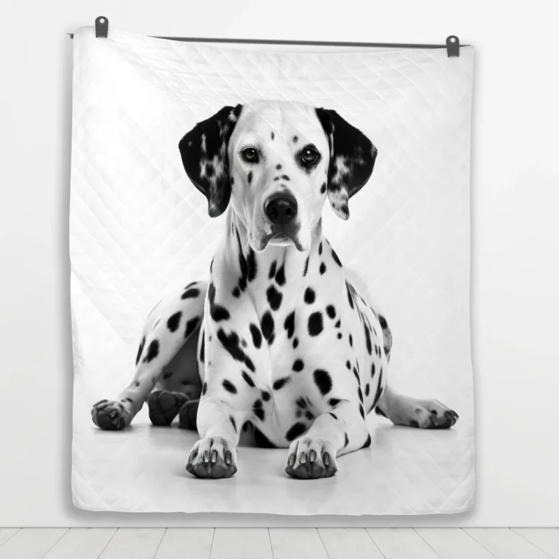 Dalmatian Dog Portrait Quilt Blanket 1