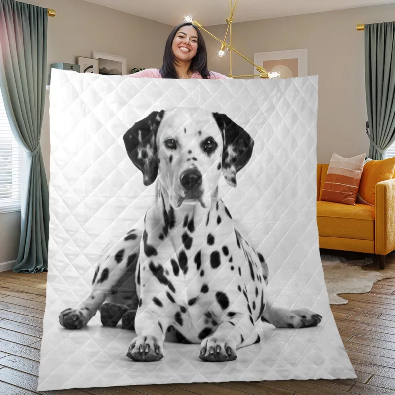 Dalmatian Dog Portrait Quilt Blanket