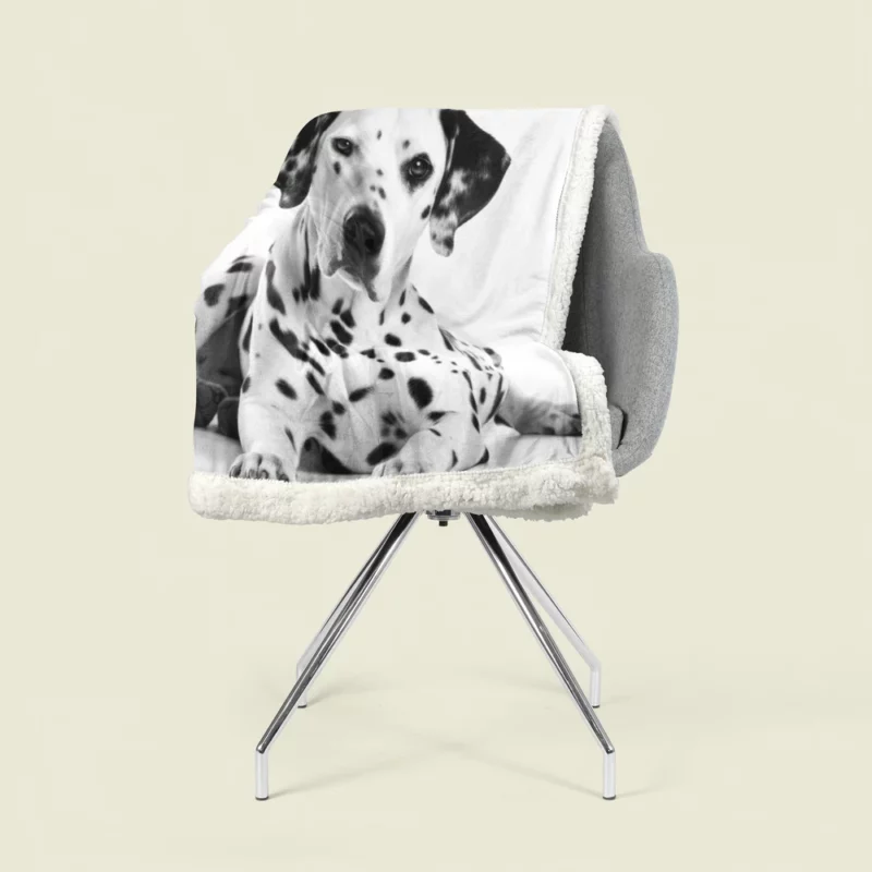 Dalmatian Dog Portrait Sherpa Fleece Blanket 1