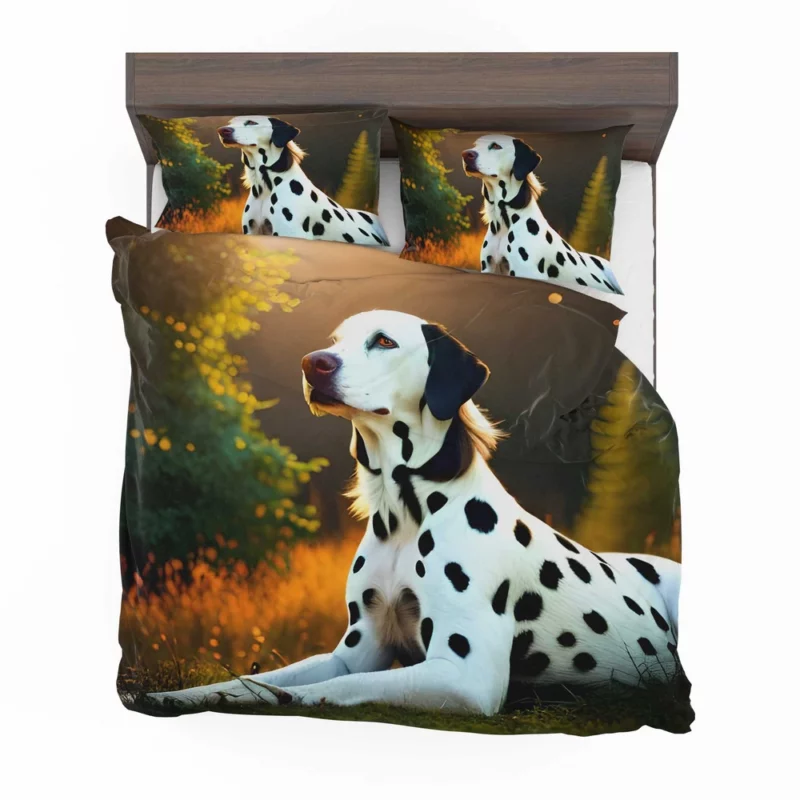 Dalmatian Dog in the Sunshine Bedding Set 2