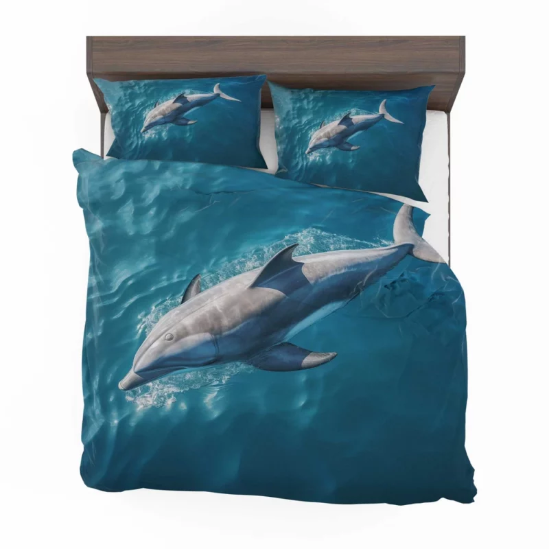 Dolphin Swimming Underwater Bedding Set 2