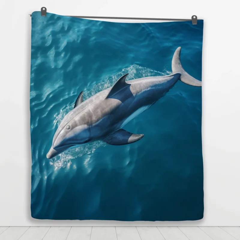 Dolphin Swimming Underwater Quilt Blanket 1