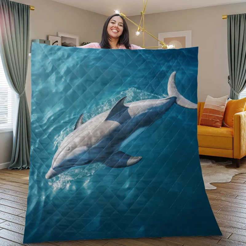 Dolphin Swimming Underwater Quilt Blanket