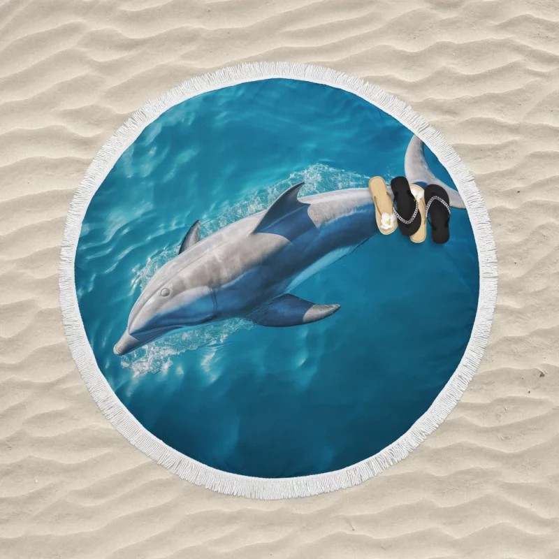 Dolphin Swimming Underwater Round Beach Towel