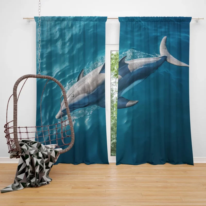 Dolphin Swimming Underwater Window Curtain