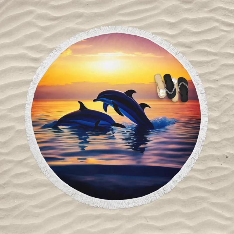 Dolphins Swimming at Sunrise Round Beach Towel