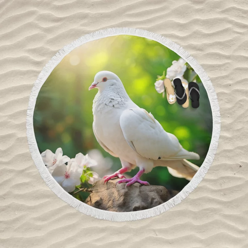 Dove Among Plants and Stone Round Beach Towel