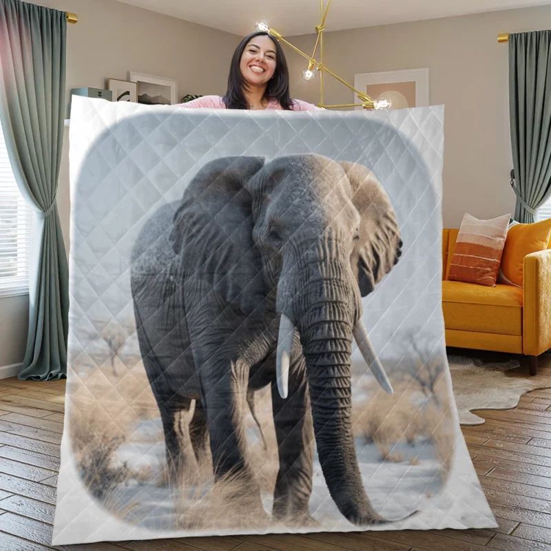 Elephant with Snowy Tusks Quilt Blanket