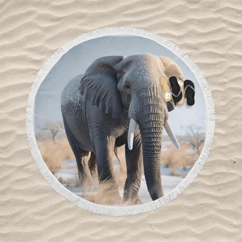 Elephant with Snowy Tusks Round Beach Towel