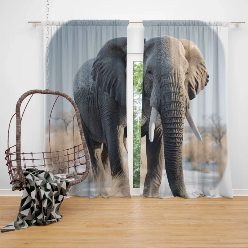 Elephant with Snowy Tusks Window Curtain