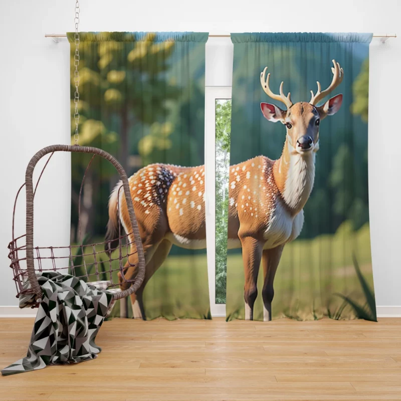 Endangered Grace A Sika Deer in the Forest Window Curtain