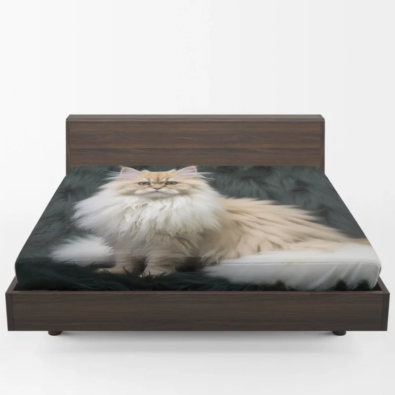 Fluffy Cat Close-Up Fitted Sheet 1