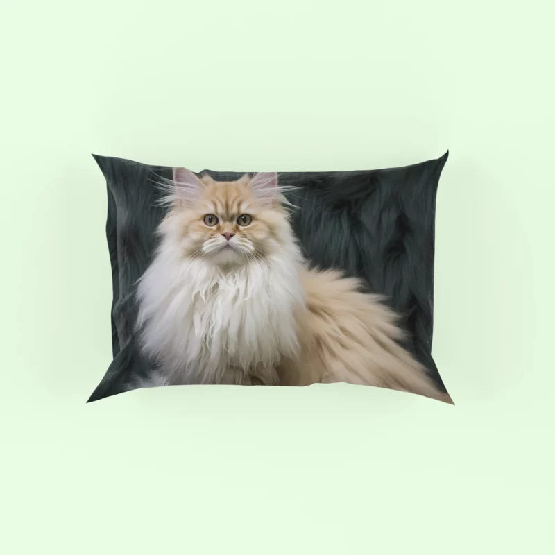 Fluffy Cat Close-Up Pillow Case