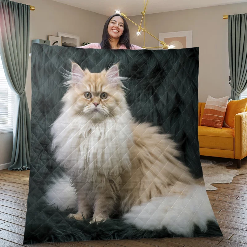 Fluffy Cat Close-Up Quilt Blanket