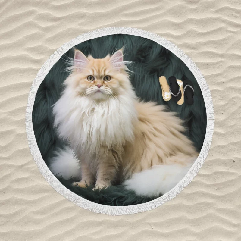 Fluffy Cat Close-Up Round Beach Towel