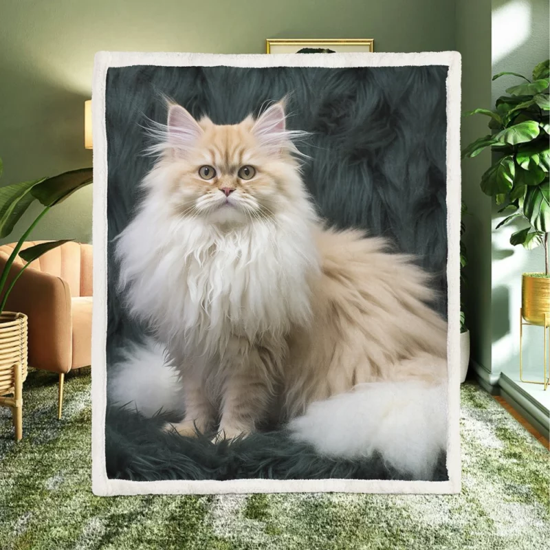 Fluffy Cat Close-Up Sherpa Fleece Blanket