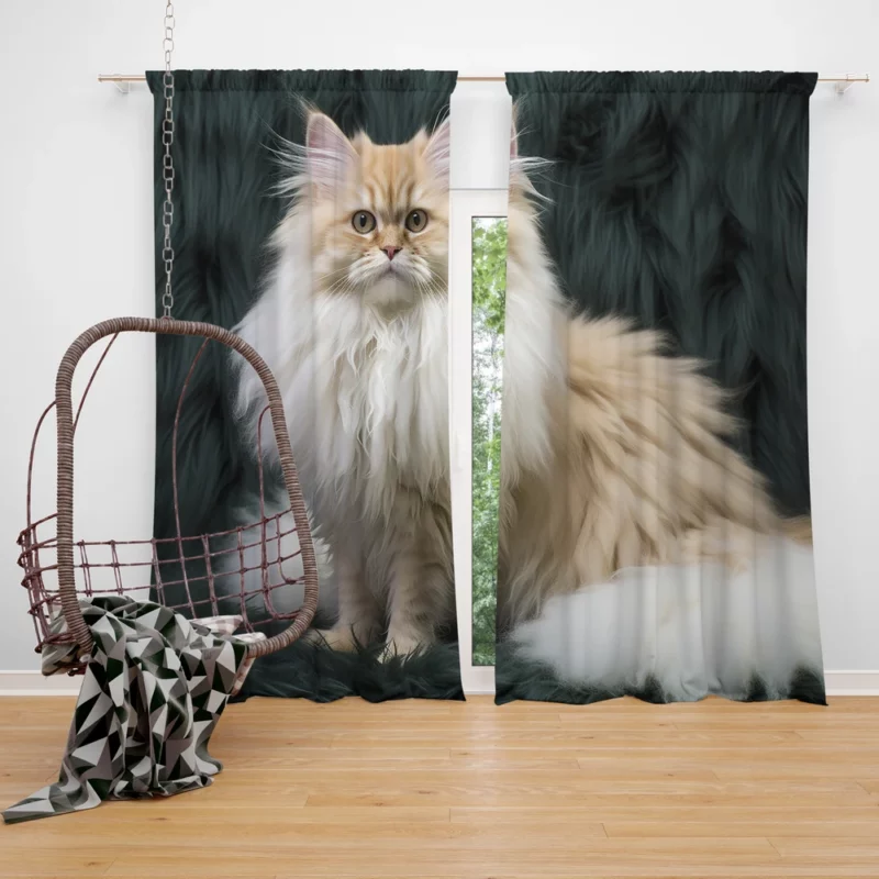 Fluffy Cat Close-Up Window Curtain