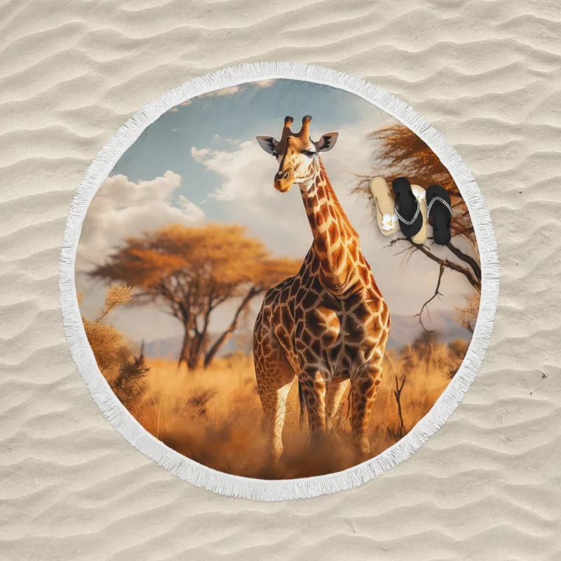 Full Body Giraffe Photography Round Beach Towel