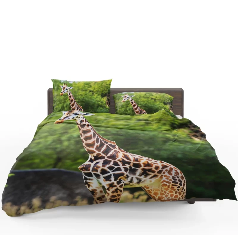 Giraffe Close-Up Photography Bedding Set 1