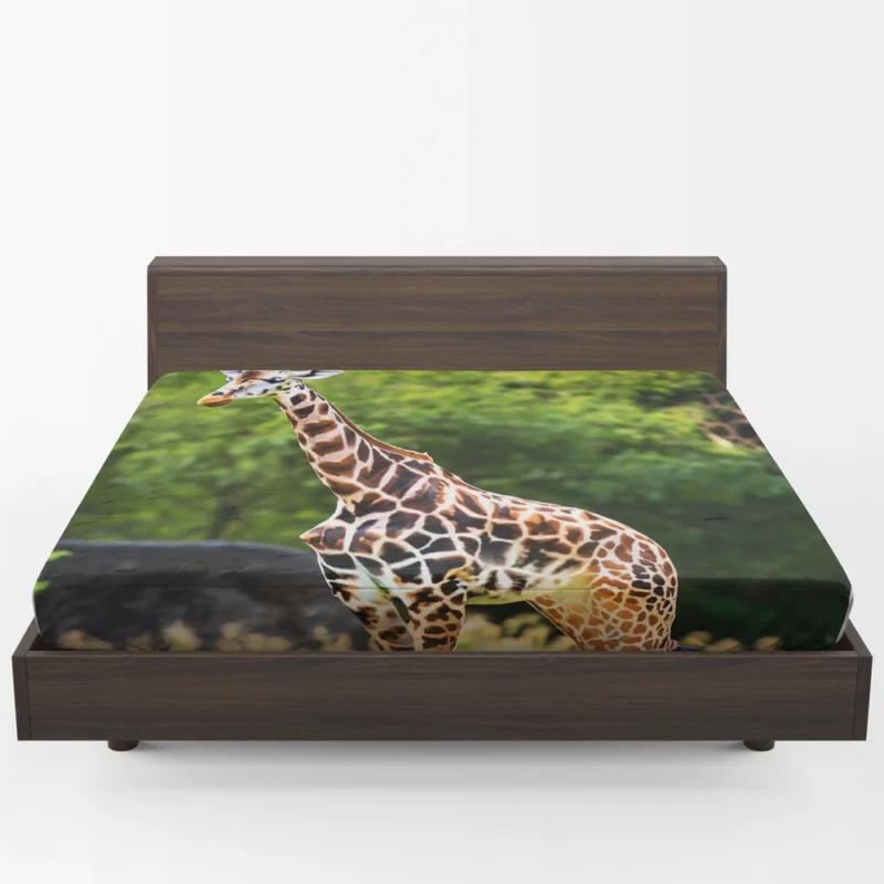 Giraffe Close-Up Photography Fitted Sheet 1