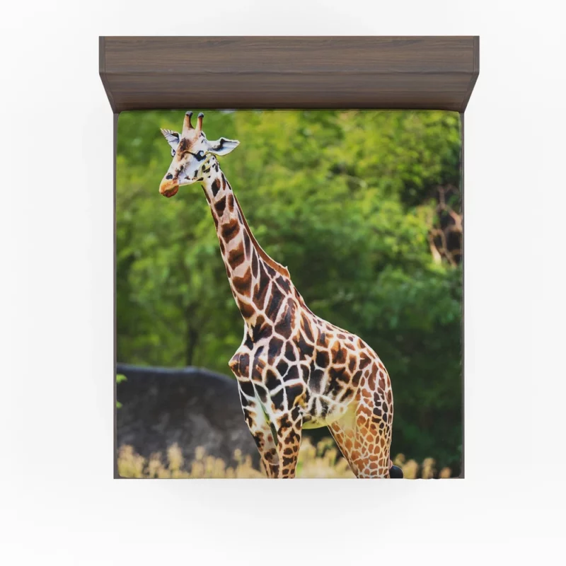 Giraffe Close-Up Photography Fitted Sheet