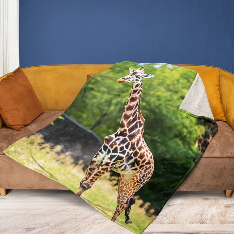 Giraffe Close-Up Photography Fleece Blanket 1