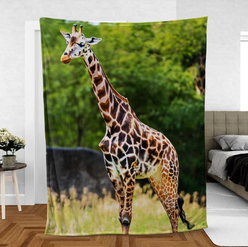 Giraffe Close-Up Photography Fleece Blanket