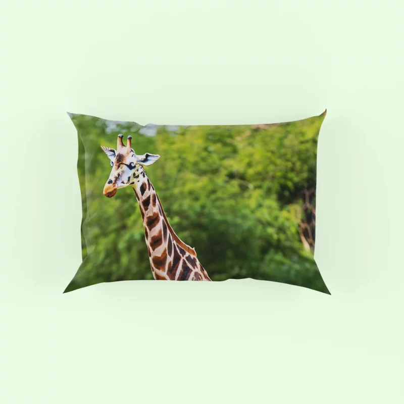 Giraffe Close-Up Photography Pillow Case