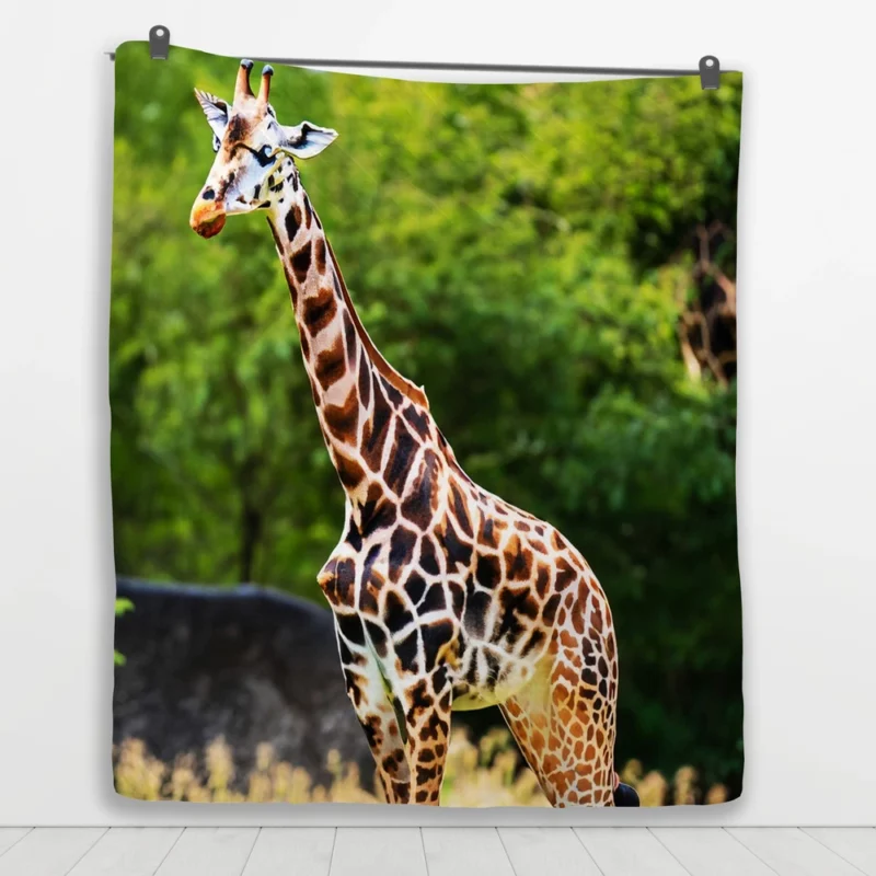 Giraffe Close-Up Photography Quilt Blanket 1