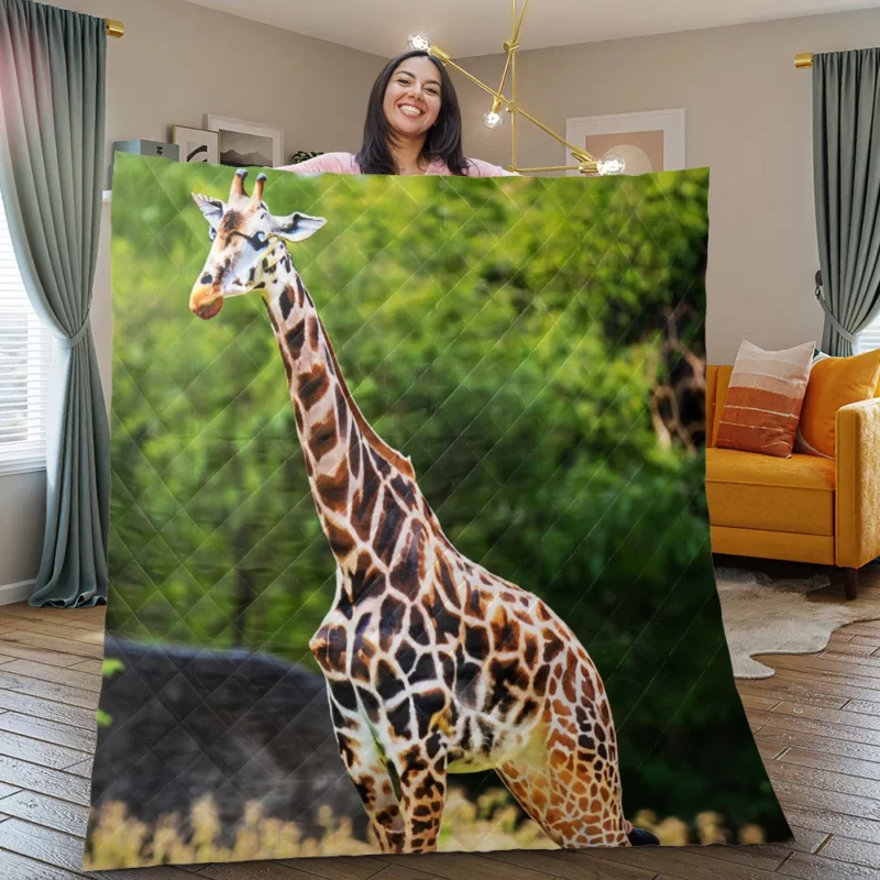 Giraffe Close-Up Photography Quilt Blanket