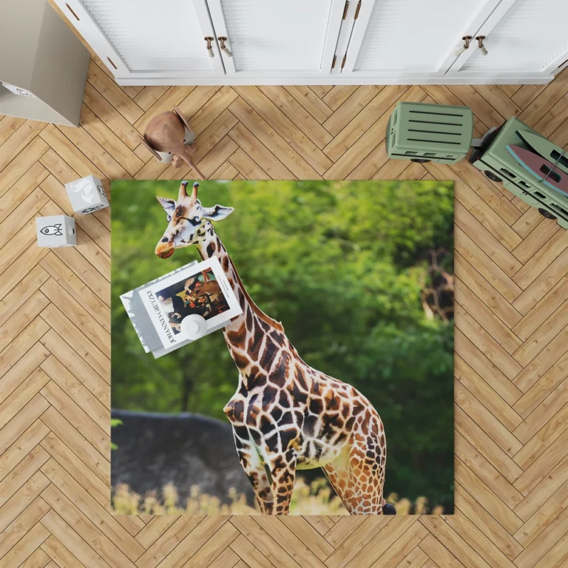 Giraffe Close-Up Photography Rug