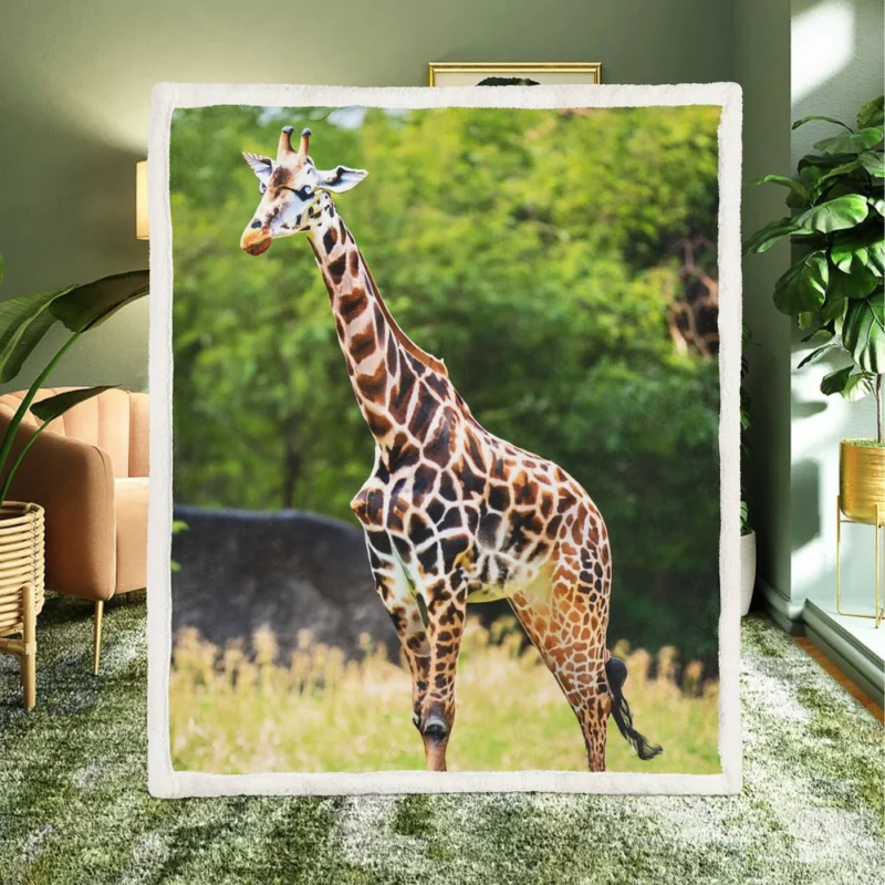 Giraffe Close-Up Photography Sherpa Fleece Blanket