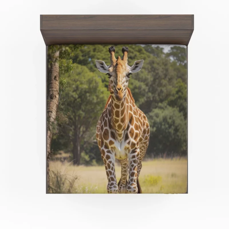 Giraffe Close-Up in Nature Fitted Sheet