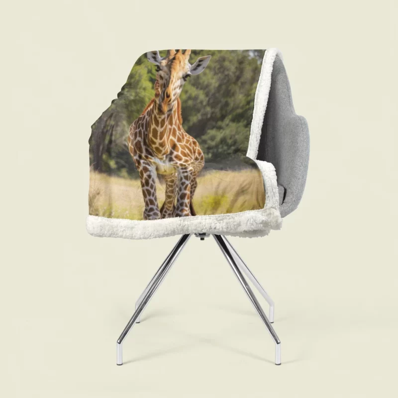 Giraffe Close-Up in Nature Sherpa Fleece Blanket 1