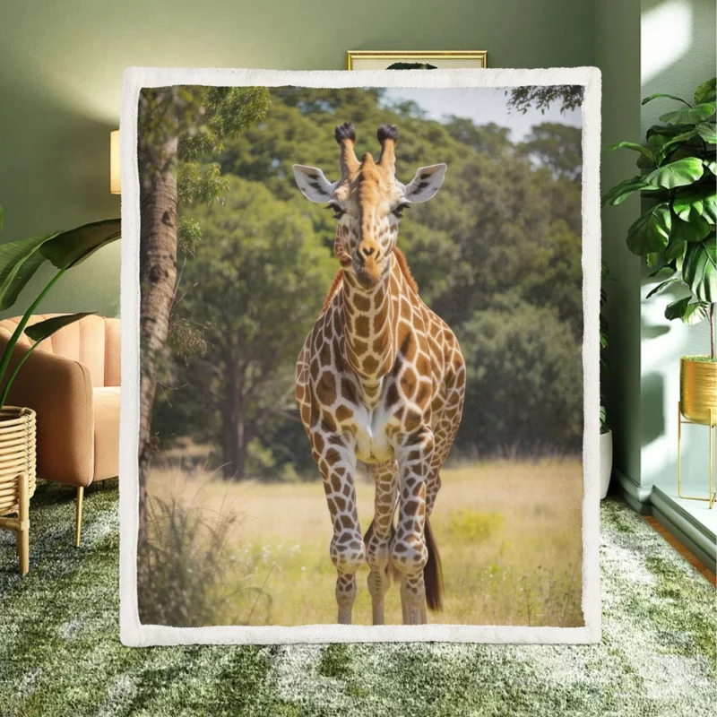 Giraffe Close-Up in Nature Sherpa Fleece Blanket