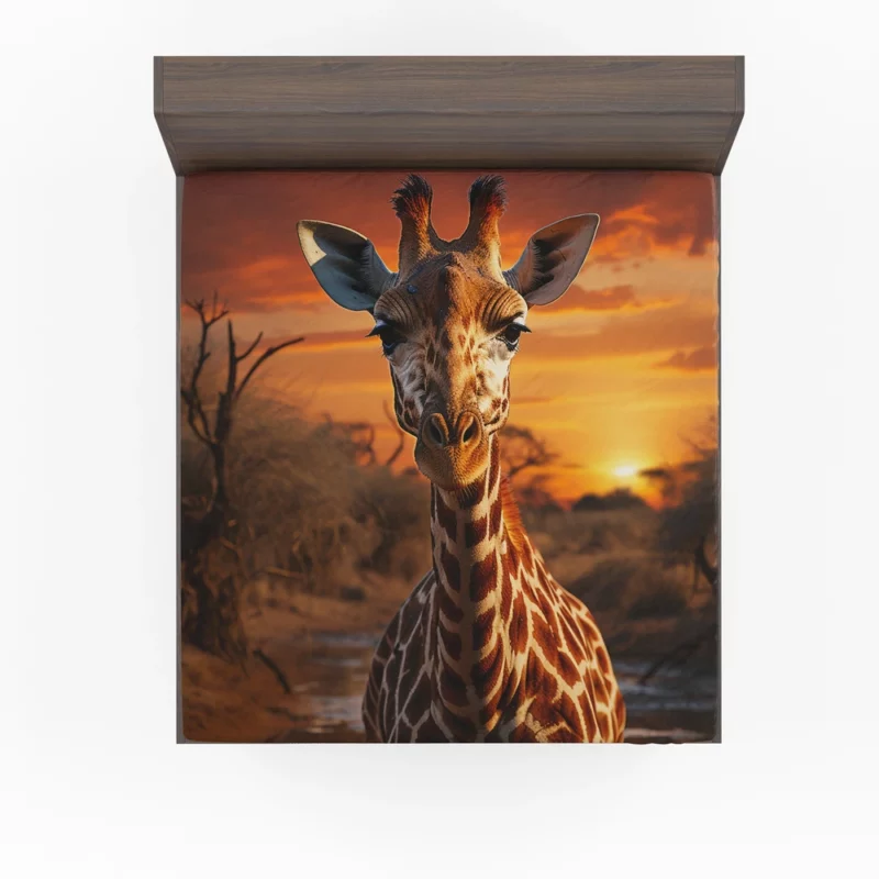 Giraffe Foraging in Africa Fitted Sheet