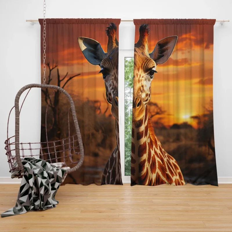 Giraffe Foraging in Africa Window Curtain