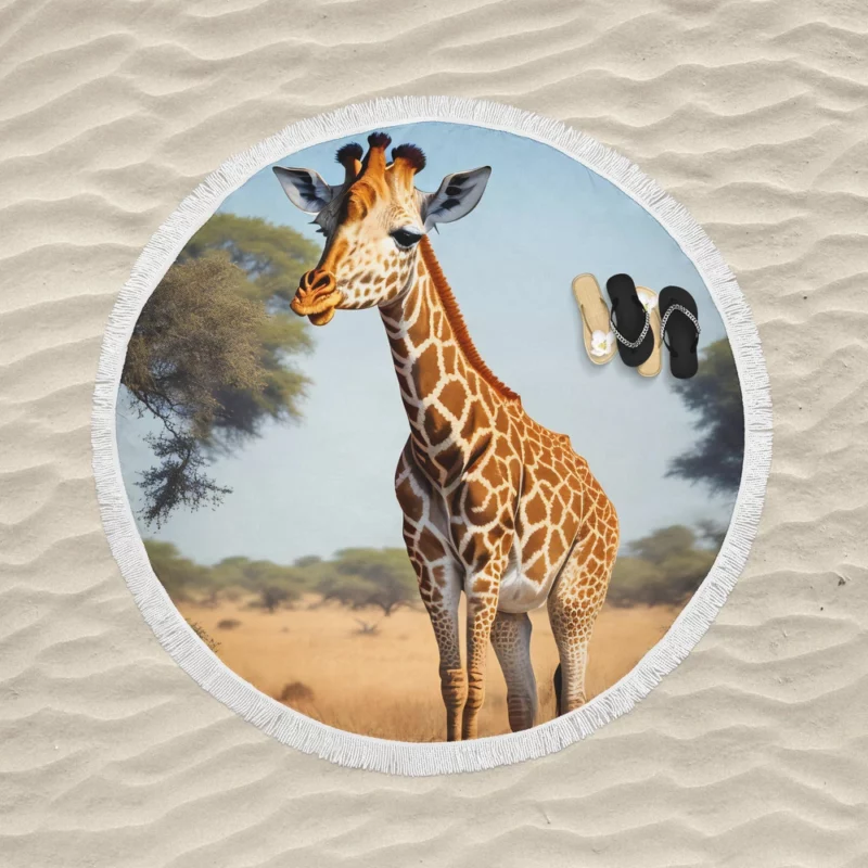 Giraffe Looking at the Camera Round Beach Towel