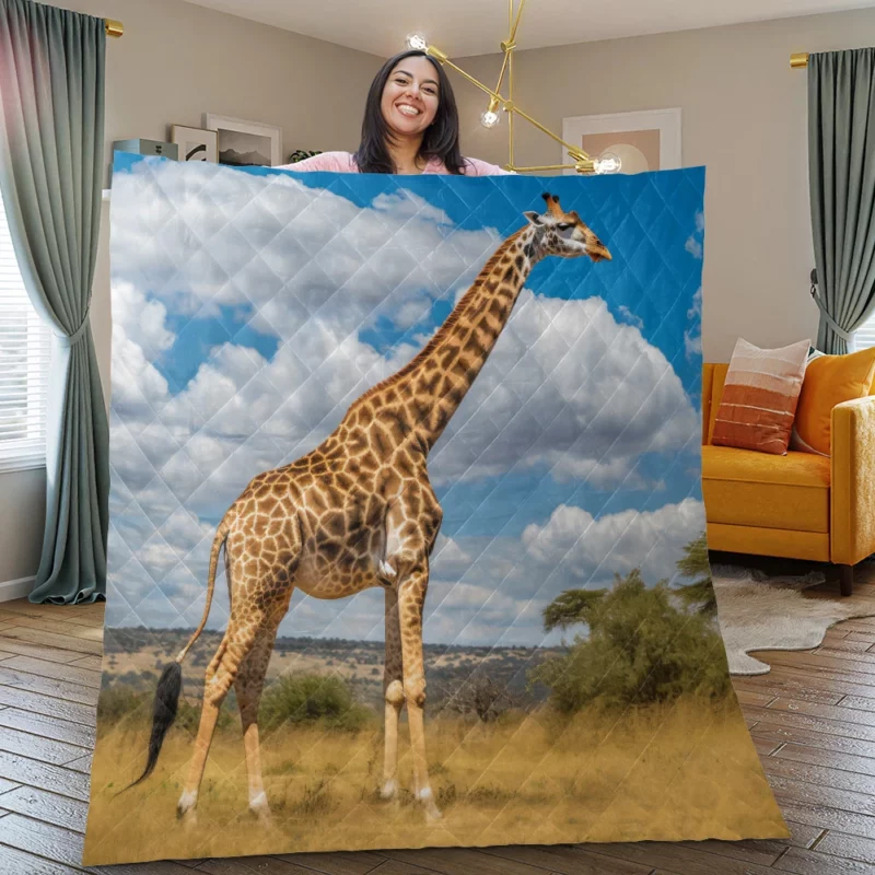 Giraffe Portrait in Africa Quilt Blanket