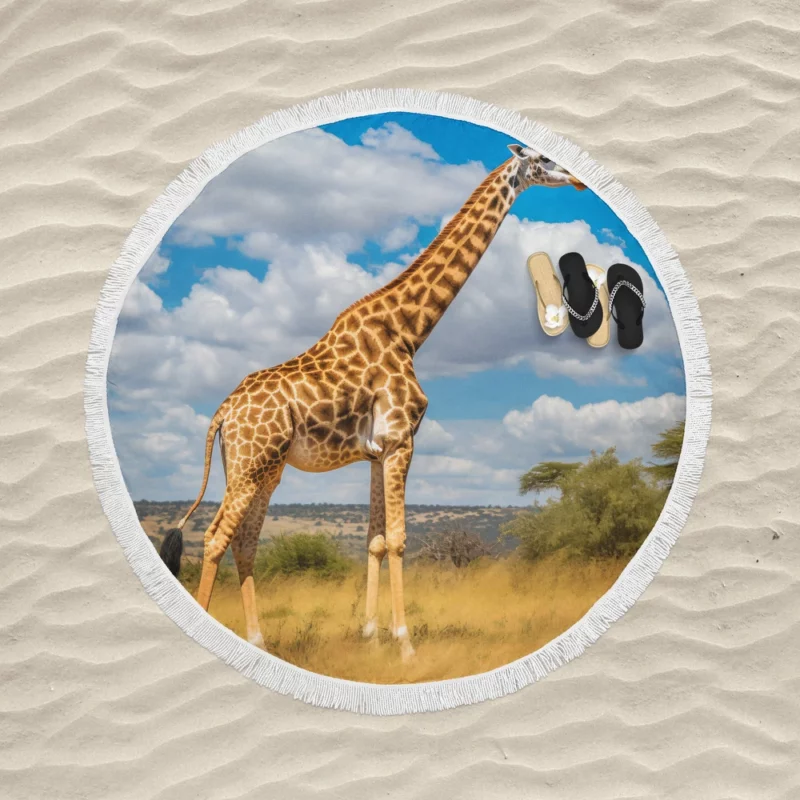 Giraffe Portrait in Africa Round Beach Towel