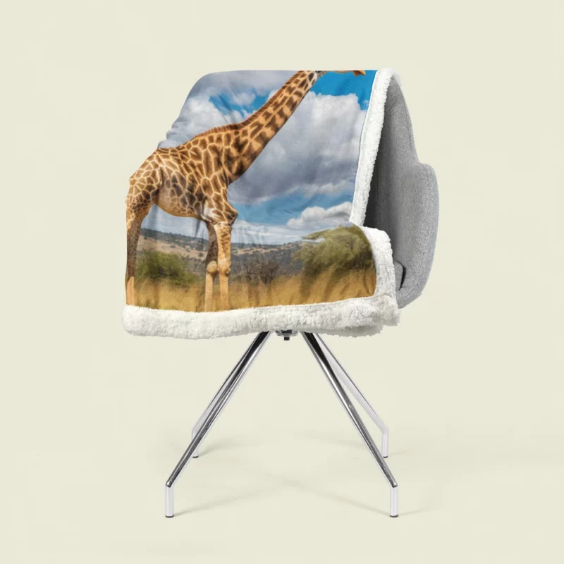 Giraffe Portrait in Africa Sherpa Fleece Blanket 1