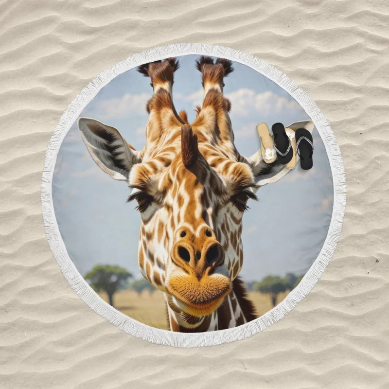 Giraffe in the Jungle Round Beach Towel