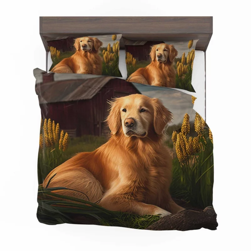 Golden Retriever Near Barn Bedding Set 2