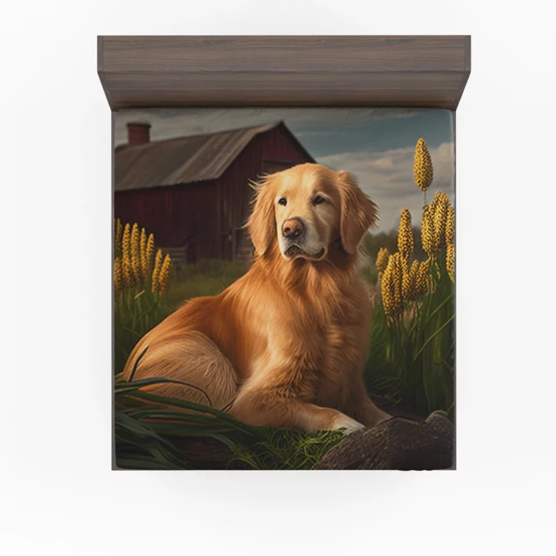 Golden Retriever Near Barn Fitted Sheet