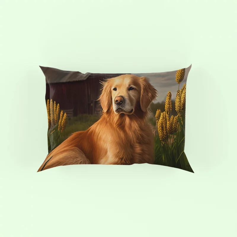 Golden Retriever Near Barn Pillow Case