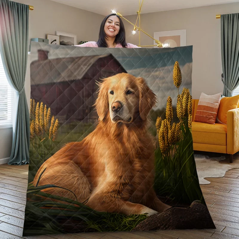 Golden Retriever Near Barn Quilt Blanket