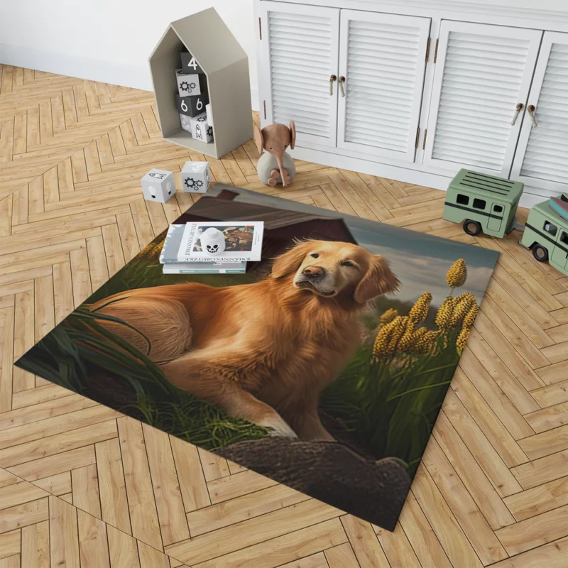 Golden Retriever Near Barn Rug 1