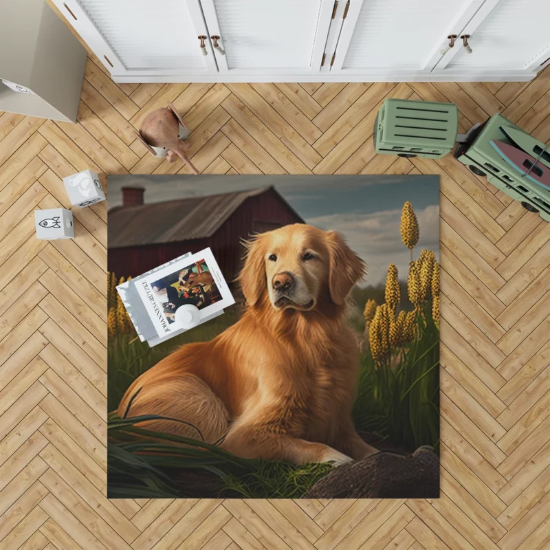 Golden Retriever Near Barn Rug